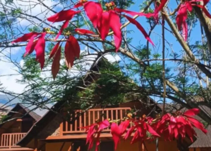 Don Felix Lodge